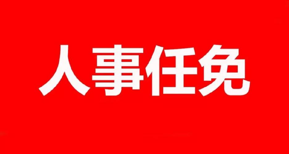 任免到底啥意思