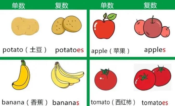 mankind可数还是不可数图标