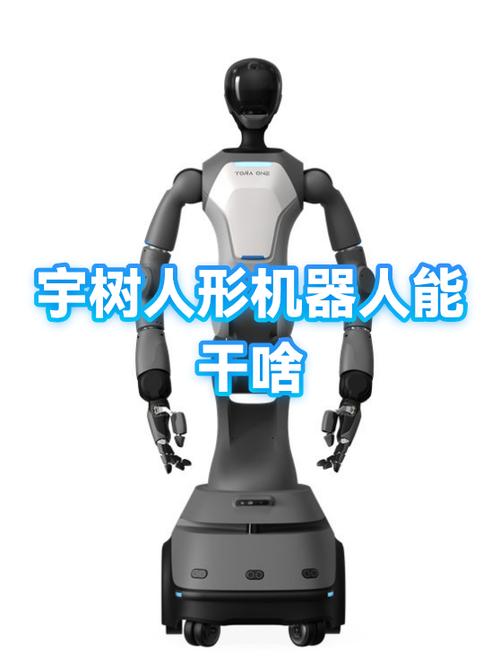 Civa机器人