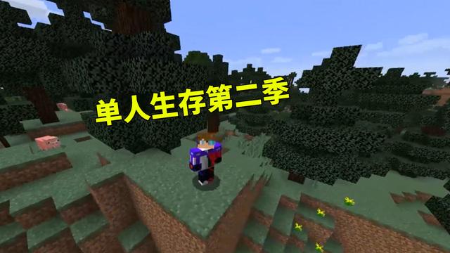 脚滑鸡单人生存我的世界1