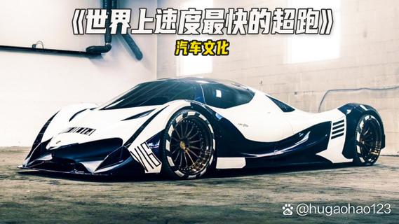世界上0到100加速最快的汽车截图