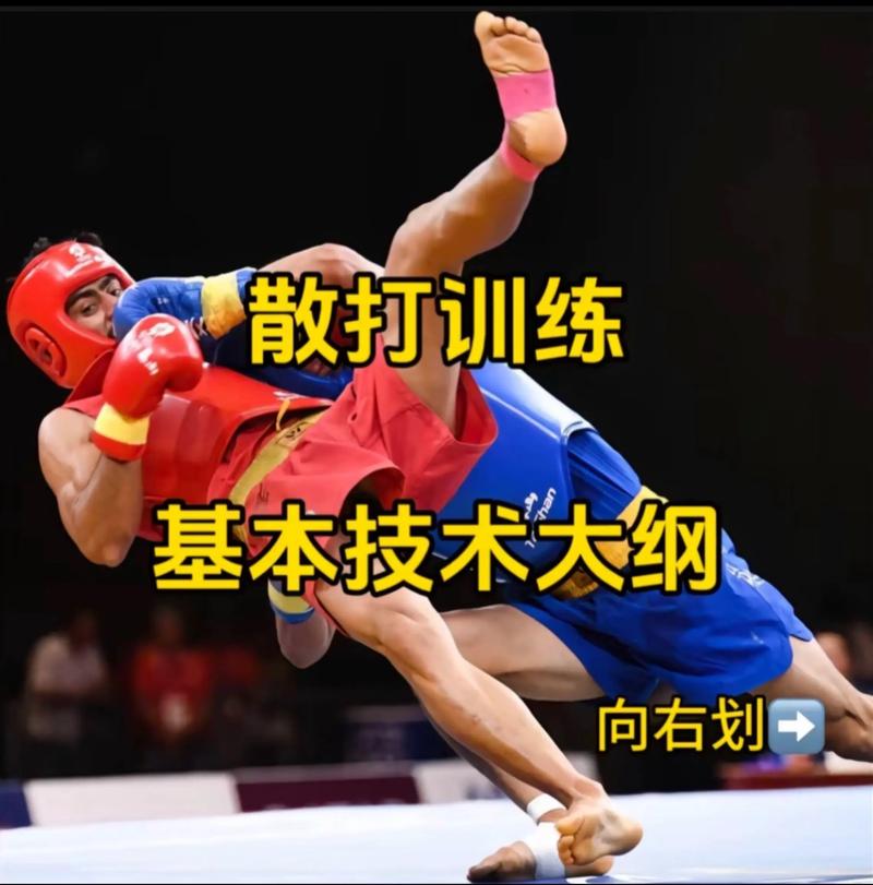 散打为什么怕拳击手