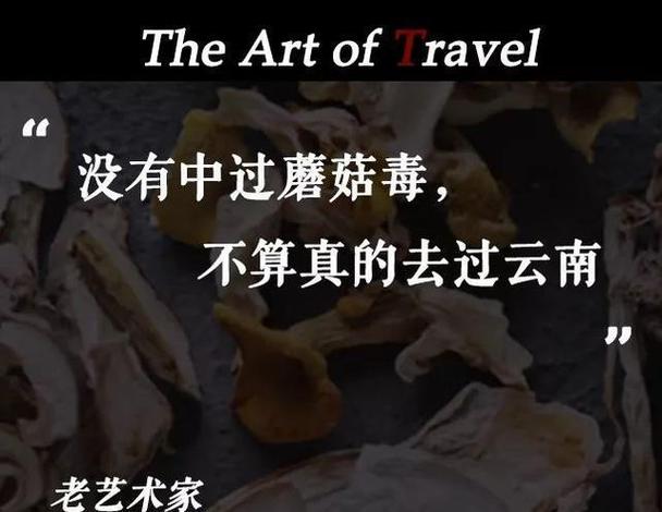 人吃蘑菇能量是单向流动吗缩略图