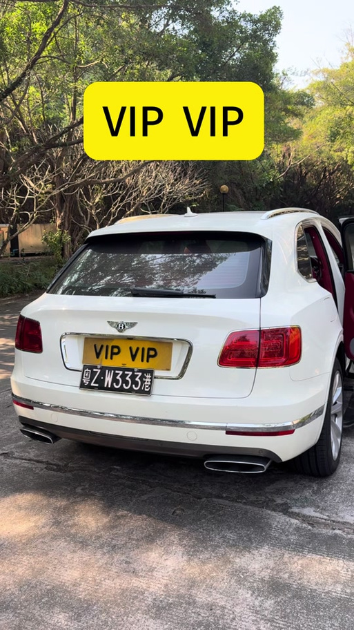 vip车牌是什么车