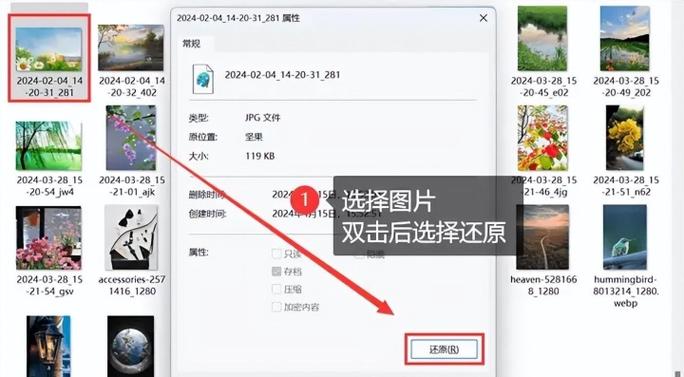 电脑删除的图片在哪里找回来怎样找