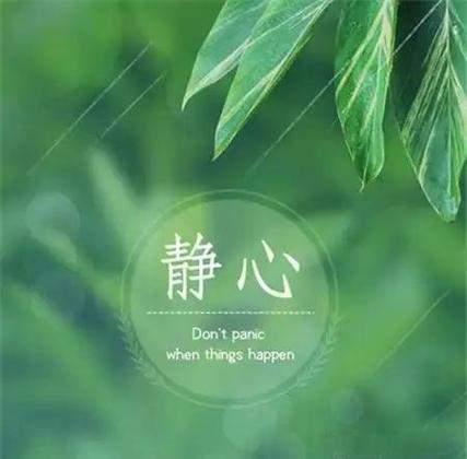 平静的生活 V0.9.apk