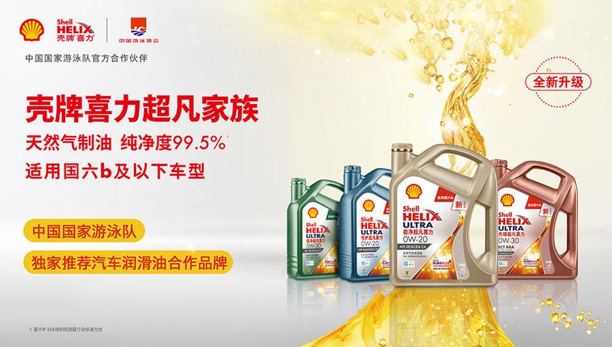 中国壳牌公司简介