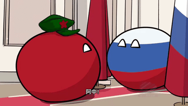 波兰球中俄生孩子