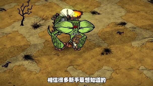 饥荒联机版聊天快捷键