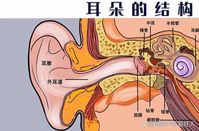 耳朵听不清感觉隔了层东西