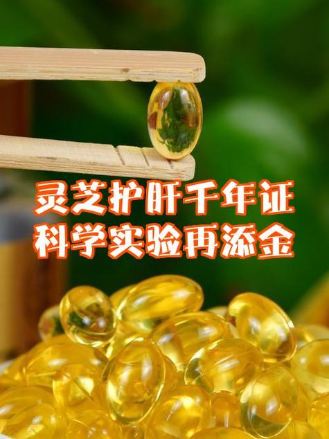 灵芝到底伤肝还是养肝图标