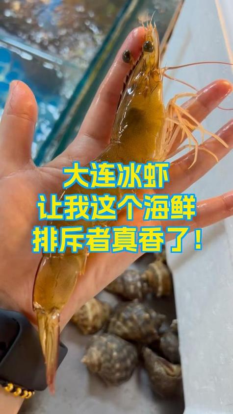 大连冰虾