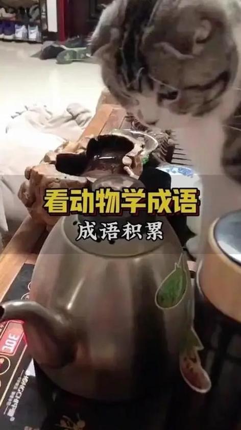 飞禽走兽成一对什么意思