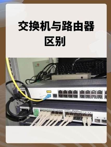 路由器可以当交换机使用吗