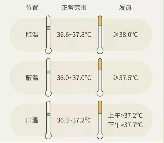 量体温多少度是正常的截图