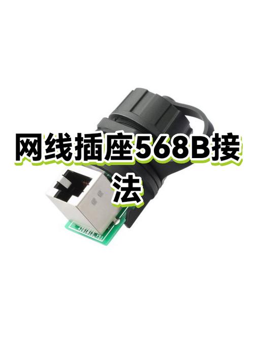 两根网线同接一个插座