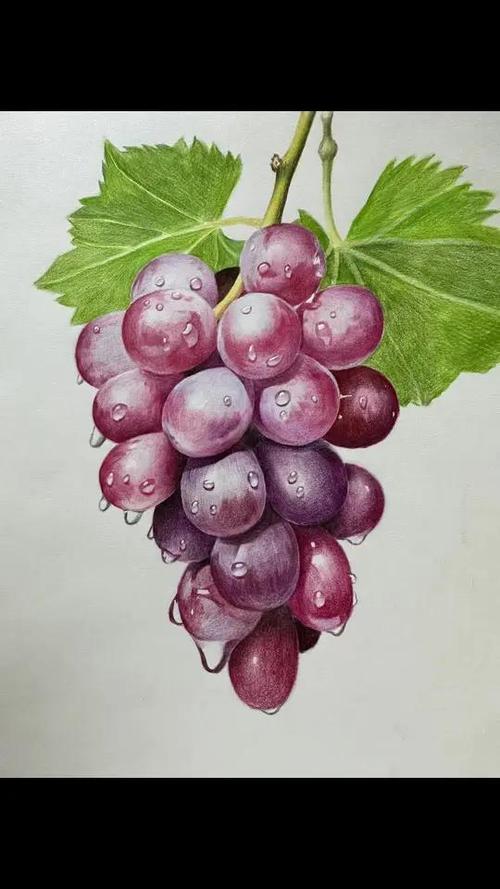 创意葡萄画