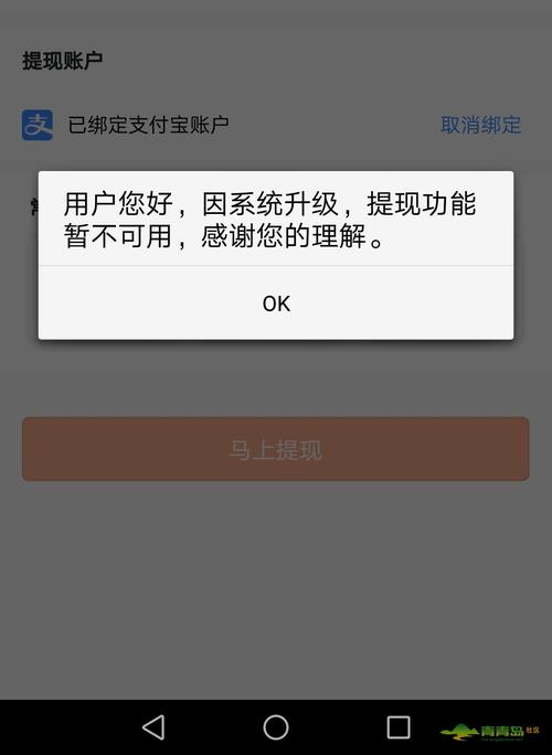 蚂蚁矿工什么时候能提现截图