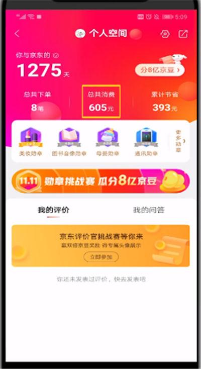 手机怎么看京东消费总金额图标