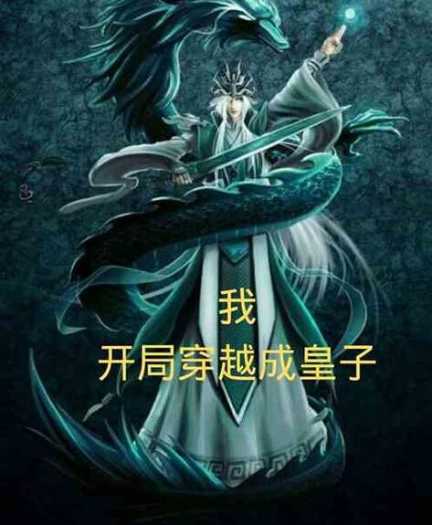 玄幻穿越皇子