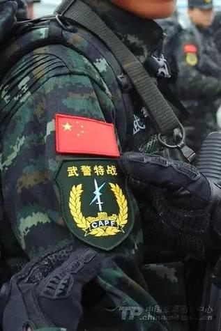 战术小队战队有哪些