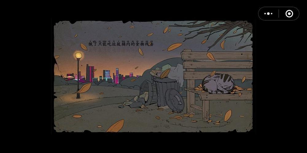 流浪猫求生之路
