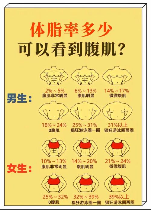 体脂率检测