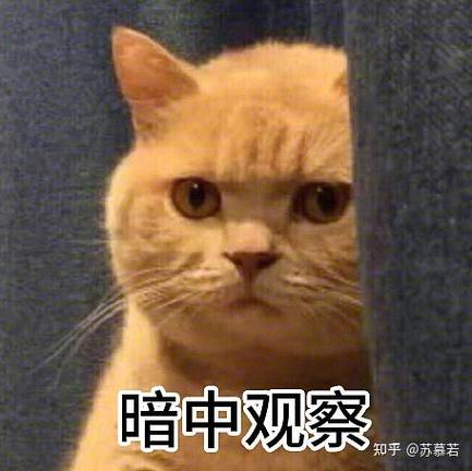 不联系却抖音看你主页的男人