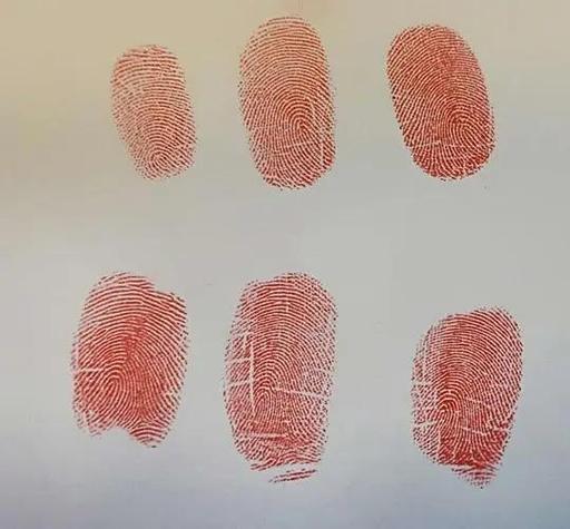 手指上的指纹代表什么意思