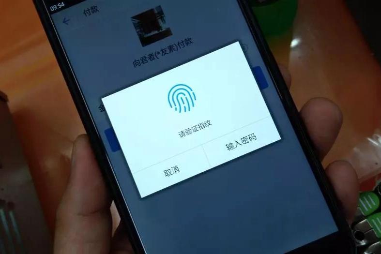 支付宝指纹支付开启了还是要密码