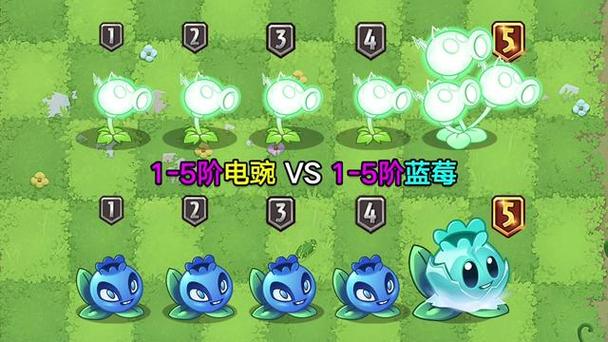 植物大战僵尸2蓝莓怎么攻击