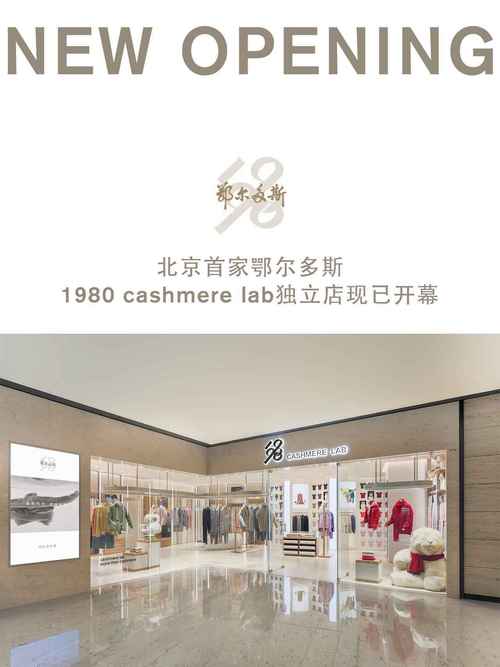 阿尔法赫专卖店官网入口