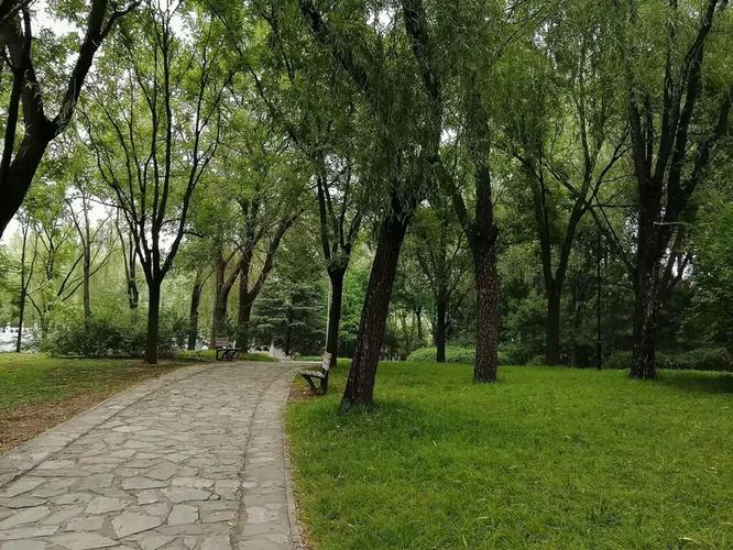 六里桥北到朝阳公园多少公里