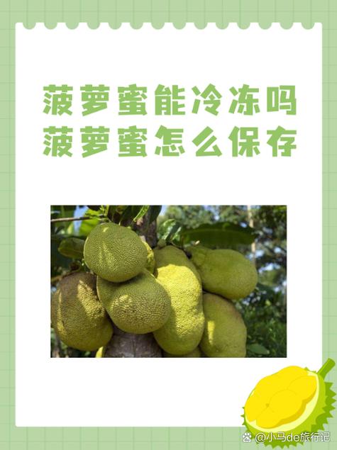 菠萝蜜可以冷冻吗怎么保存截图