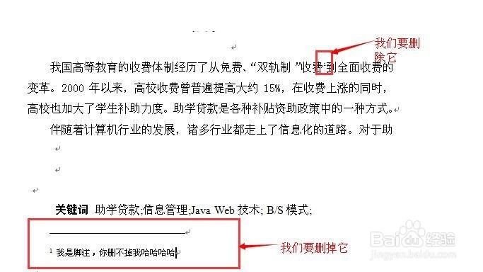 为什么脚注没有横线