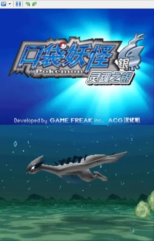 nds魂银金手指经验