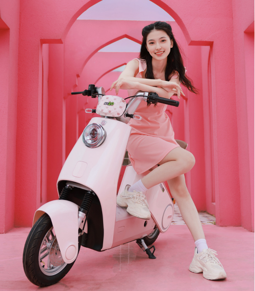 绿源电动车粉色型号