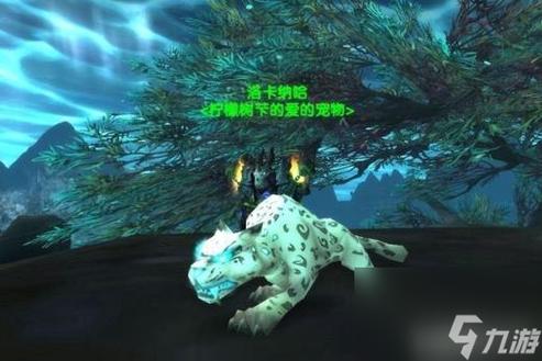 安多哈尔的时间裂隙坐标