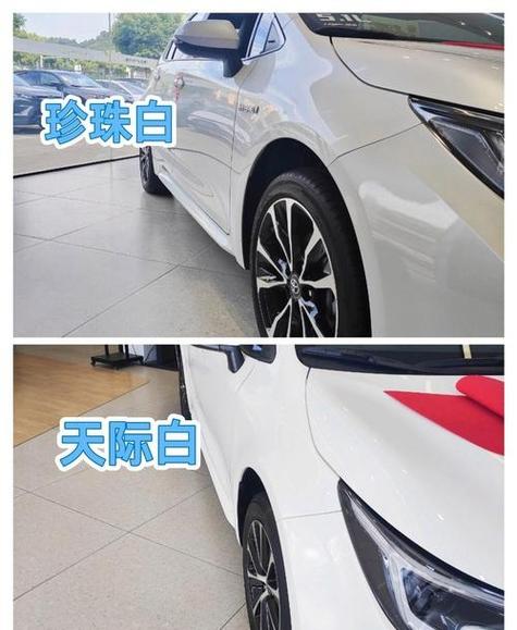 珍珠白属于什么档次缩略图