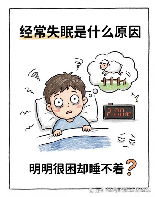 总是睡不着觉是什么原因缩略图