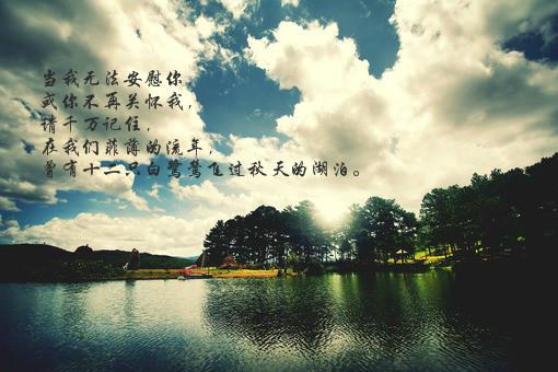 浅浅的唯美句子
