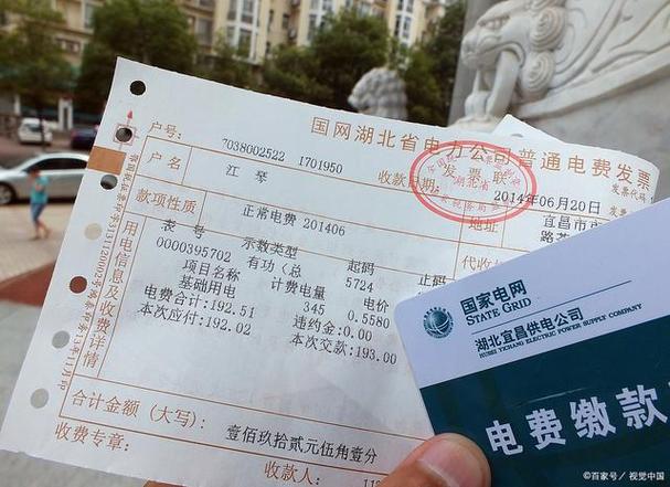 电力户号被别人绑定了游戏截图