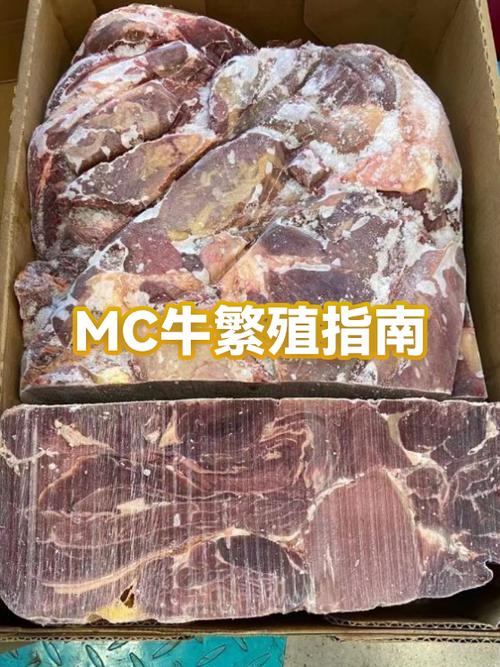我的世界牛繁殖的条件截图