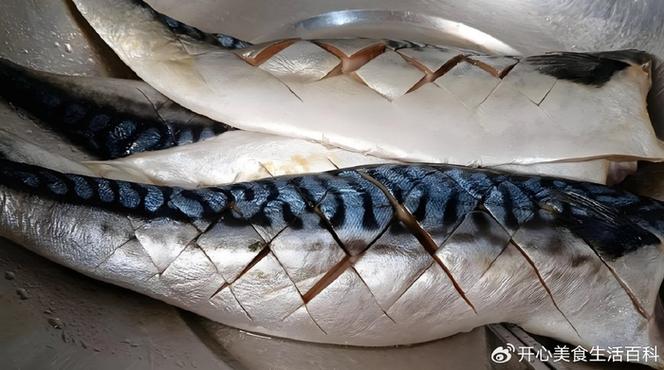 青花鱼对人体的功效截图