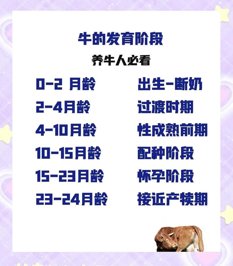 小母牛几年可以生小牛图标