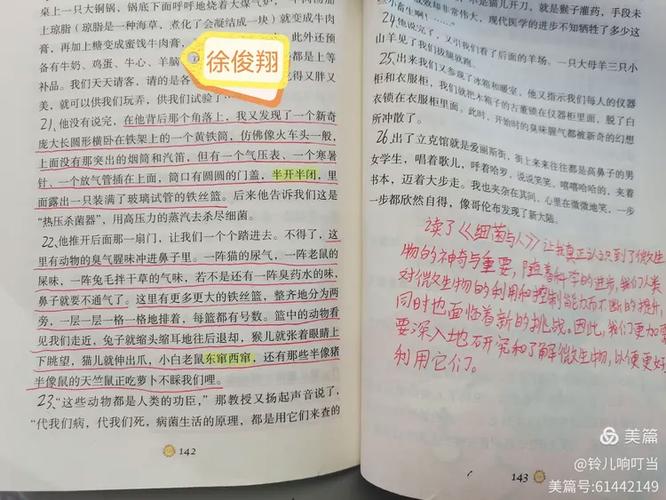阅读批注的四种方法