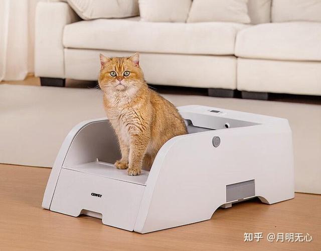 猫砂盆移动位置查询方法