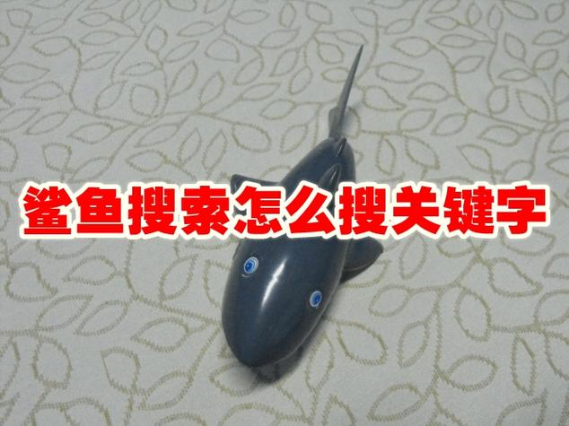 鲨鱼搜索1.9破解版的功能