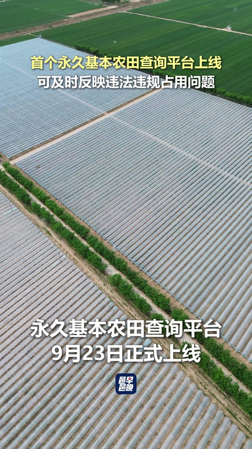 怎么查基本农田