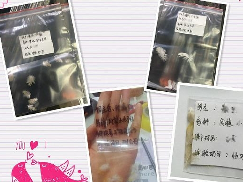 鹦鹉有必要验卡吗